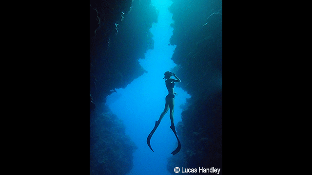 ¿Necesitas ideas? - Cámara digital LUMIX DC-FT7