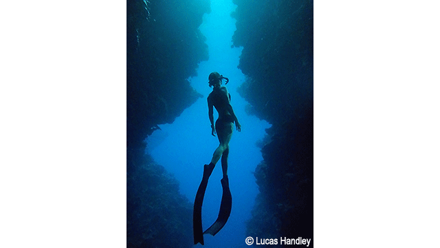 影音圖片集 - LUMIX 數位相機 DC-TS7