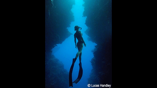 ¿Necesitas ideas? - Cámara digital LUMIX DC-FT7