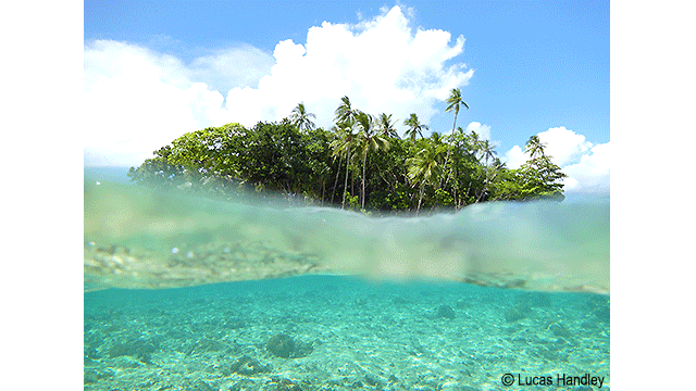 影音圖片集 - LUMIX 數位相機 DC-TS7