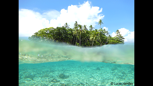 ¿Necesitas ideas? - Cámara digital LUMIX DC-FT7