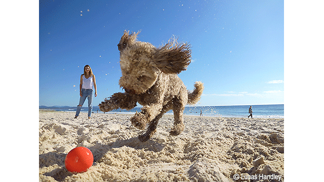 影音圖片集 - LUMIX 數位相機 DC-TS7