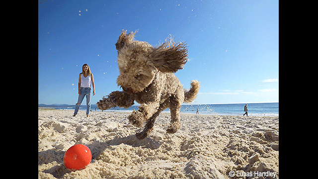 Get Inspired - LUMIX® Digital Camera DC-FT7