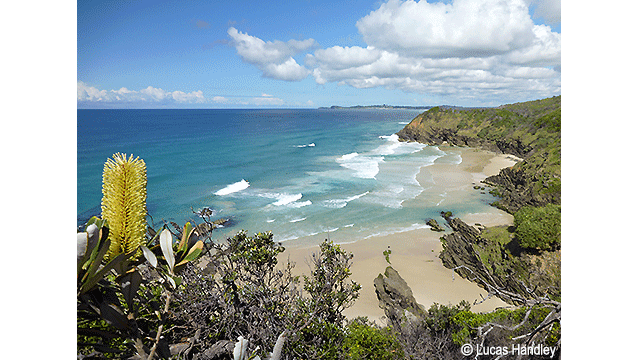 影音圖片集 - LUMIX 數位相機 DC-TS7