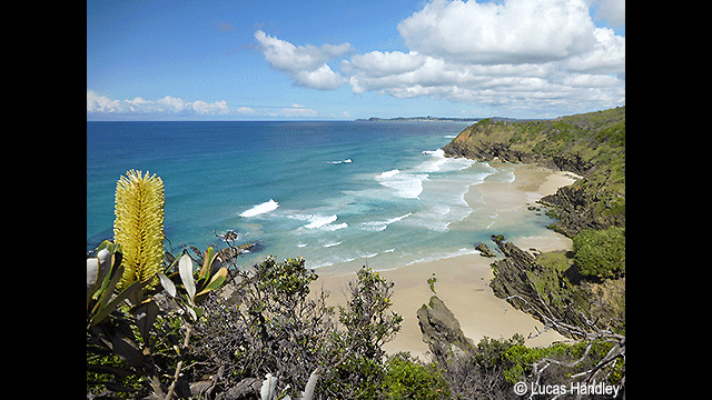 ¿Necesitas ideas? - Cámara digital LUMIX DC-FT7