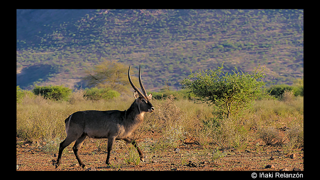 影音圖片集 - LUMIX 數位相機 DC-FZ10002