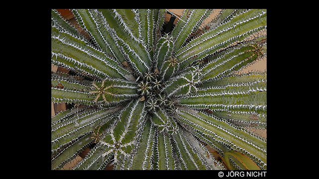 ¿Necesitas ideas? - Cámara digital LUMIX DC-TZ95