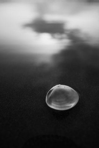 LEICA DG SUMMILUX 9mm / F1.7 ASPH. (H-X09) LUMIX G Series Micro Four Thirds Lens