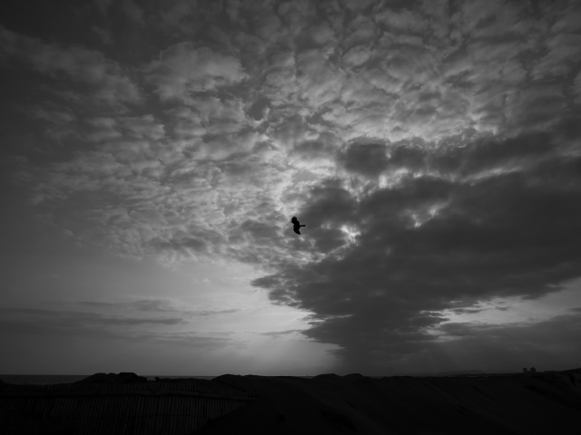 LEICA DG SUMMILUX 9mm / F1.7 ASPH. (H-X09) LUMIX G Series Micro Four Thirds Lens