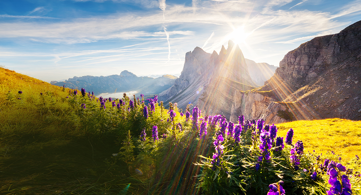 
لوحة فائقة السطوع
