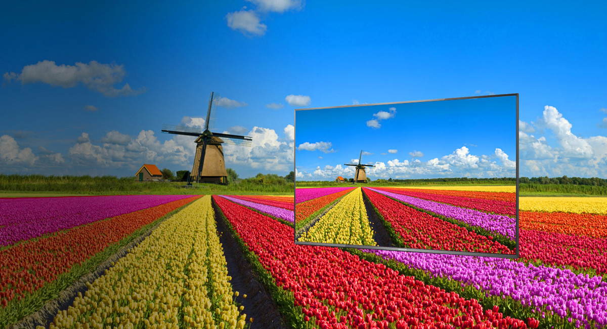 
Ampia gamma di colori