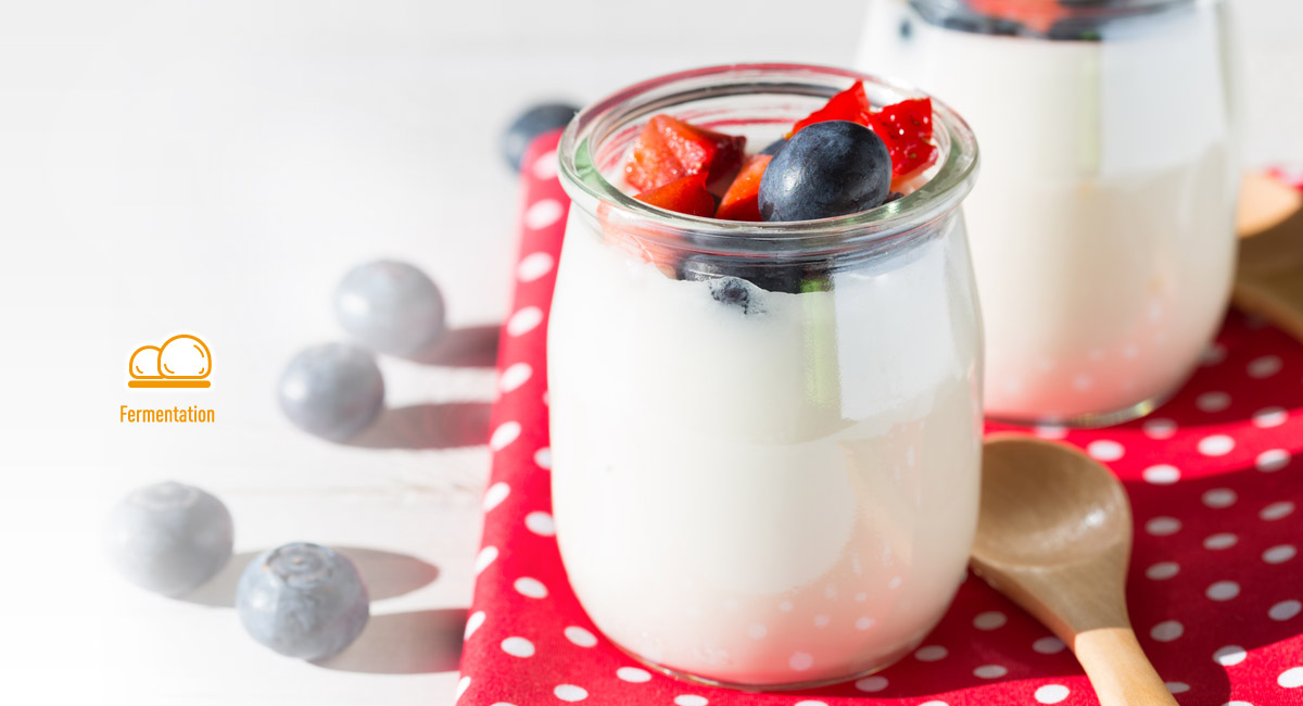 Low-Temperature Cooking for Homemade Yoghurt