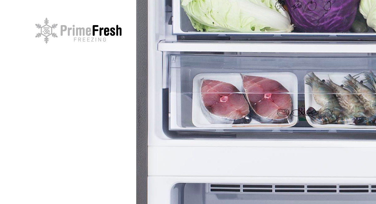 Experience More
Freshness than Ever!