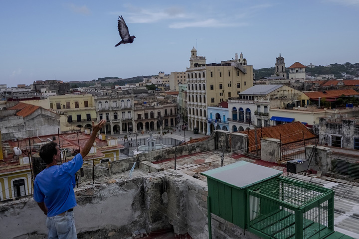 LEICA DG SUMMILUX 15mm / F1.7 ASPH. (H-X015) F5.0, 1/1250 sec, ISO 800