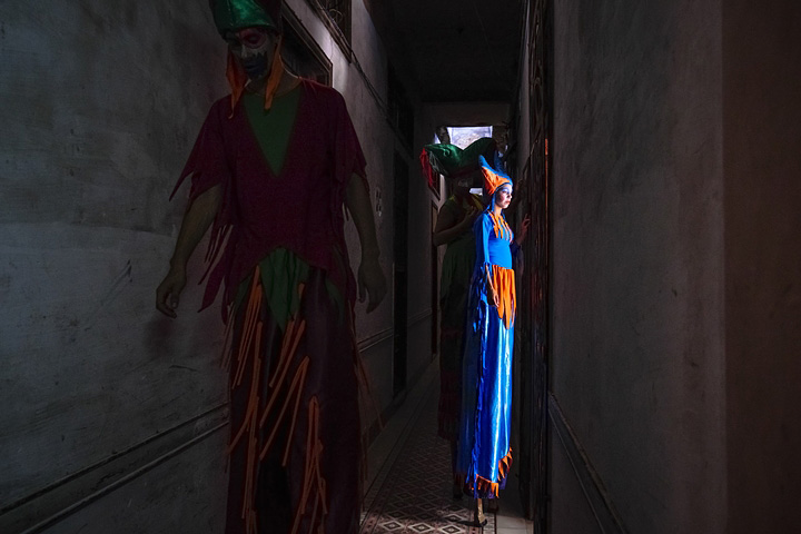 LUMIX G X VARIO 12-35mm / F2.8 ASPH. / POWER O.I.S. (H-HS12035) F2.8, 1/1600 sec, ISO 1600