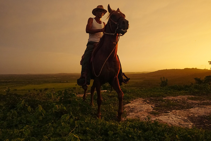 LEICA DG SUMMILUX 15mm / F1.7 ASPH. (H-X015) F3.2, 1/500 sec, ISO 1600