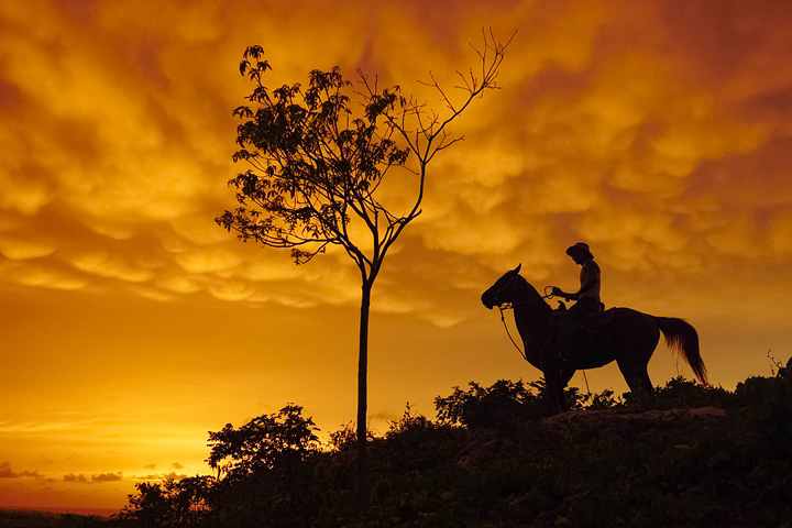 LEICA DG SUMMILUX 15mm / F1.7 ASPH. (H-X015) F5.0, 1/500 sec, ISO 1600