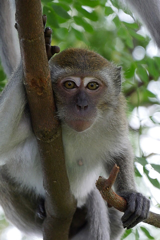 LUMIX G VARIO 14-140mm / F3.5-5.6 ASPH. / POWER O.I.S. (H-FS14140) F5.5, 1/160 sek, ISO 1600