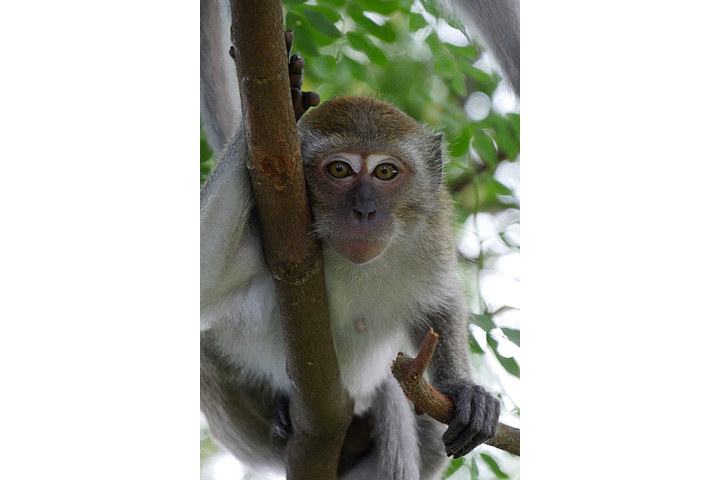 ‏LUMIX G VARIO ‏14-140 مم / F3.5-5.6 ASPH. / POWER O.I.S. (H-FS14140) F5.5، 1/160 ثانية، ISO 1600