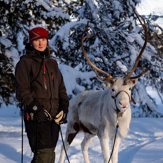 Sfida per la sopravvivenza See more