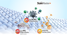 Knock Out Stain Marks & Invisible Bacteria