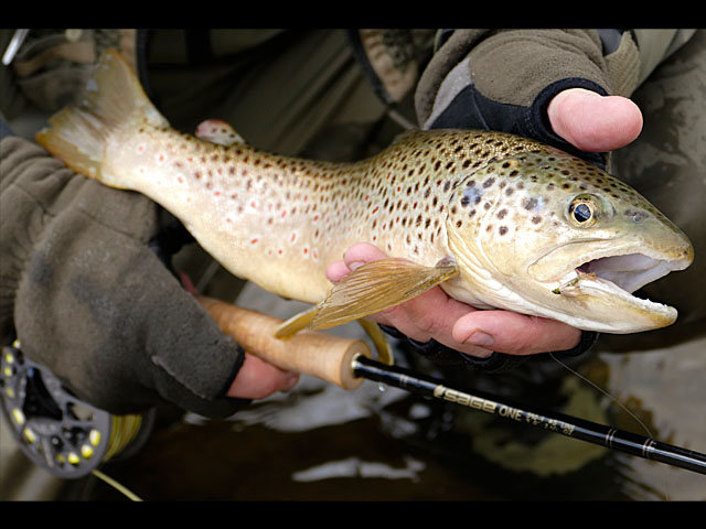 LUMIX DMC-FZ1000 SPECIAL GALLERY