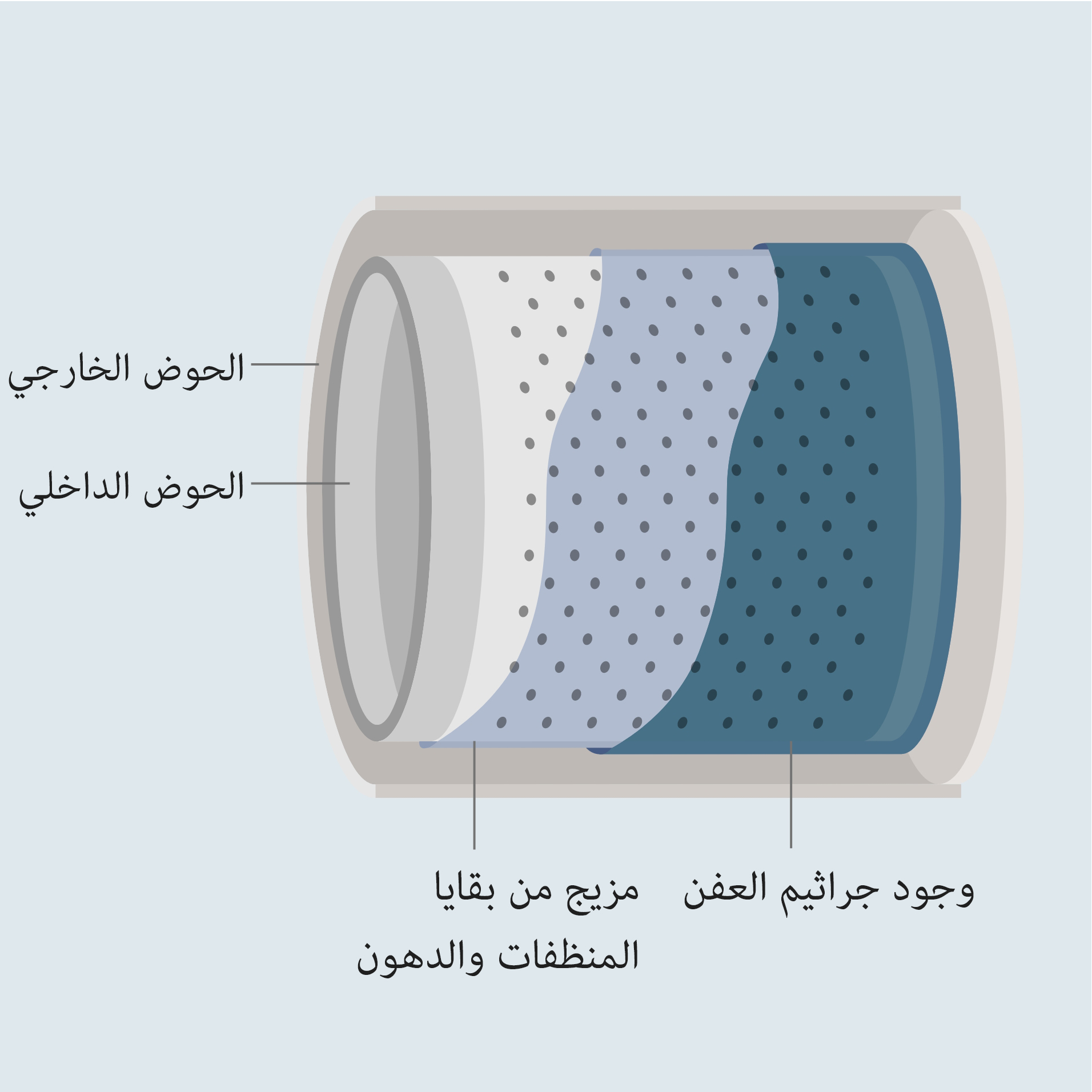 رسم توضيحي يُظهر مزيجاً من بقايا المنظفات والدهون وجراثيم العفن بين الحوضين الداخلي والخارجي للغسالة.