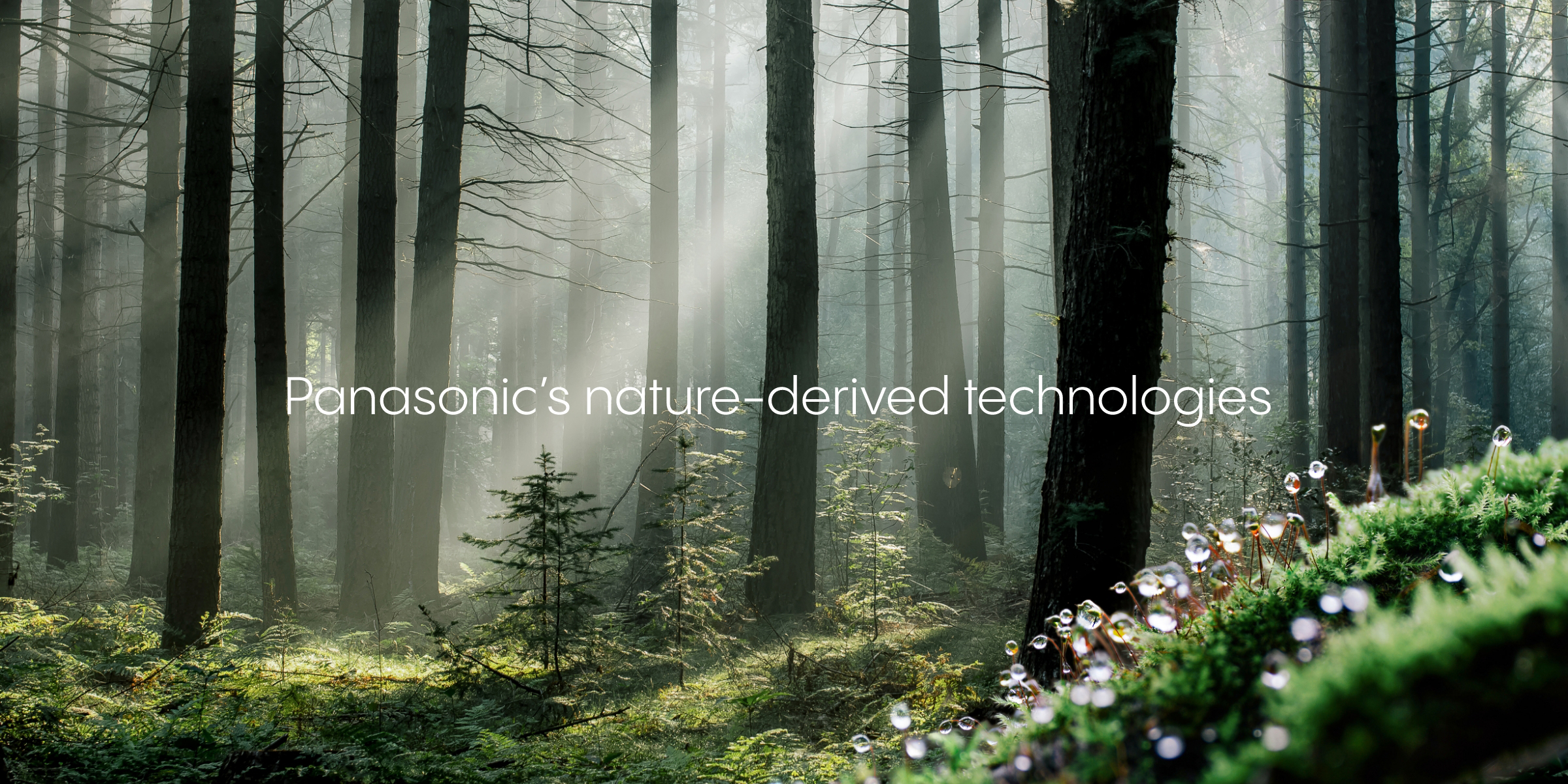 Panasonic's nature-derived technologies for cleaner air