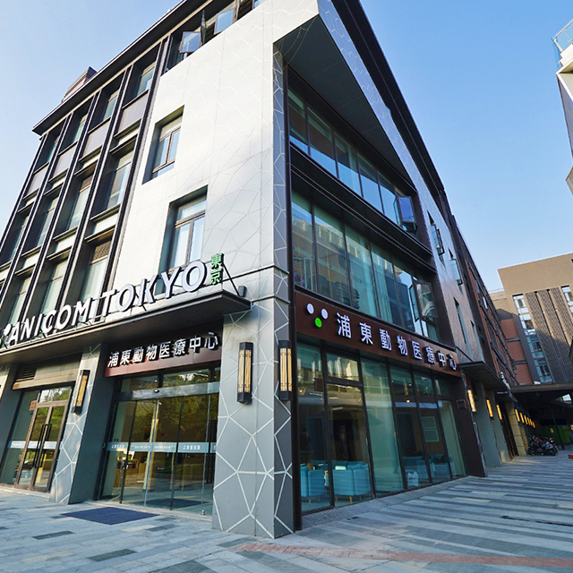 Anicom Pudong Pet Medical Centre See more