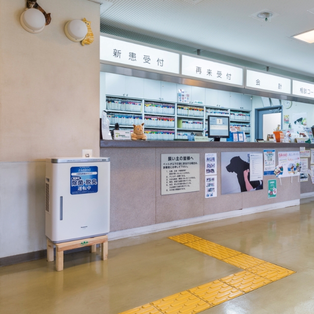 Takahashi Veterinary Hospital See more