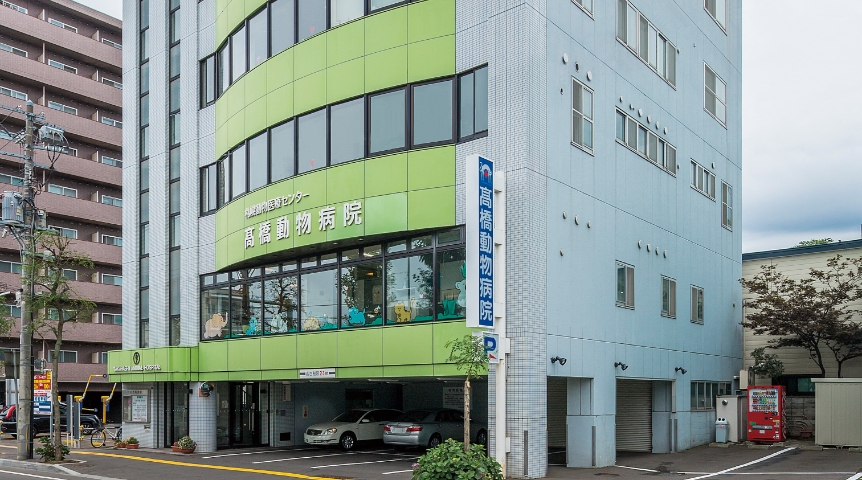 Takahashi Veterinary Hospital