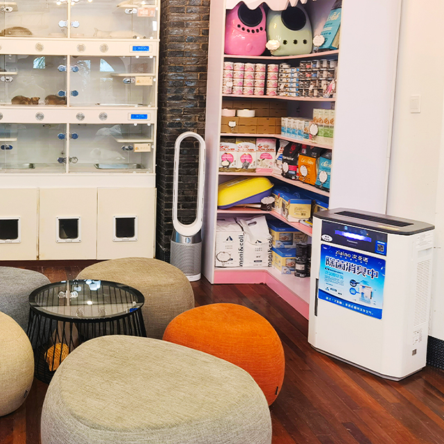 Le Ge Cattery House See more