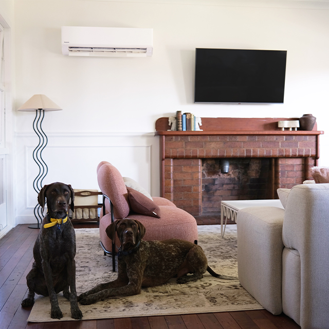 Panasonic Helps Create a Dream Holiday Home with Convenience And Comfort in Mind See more