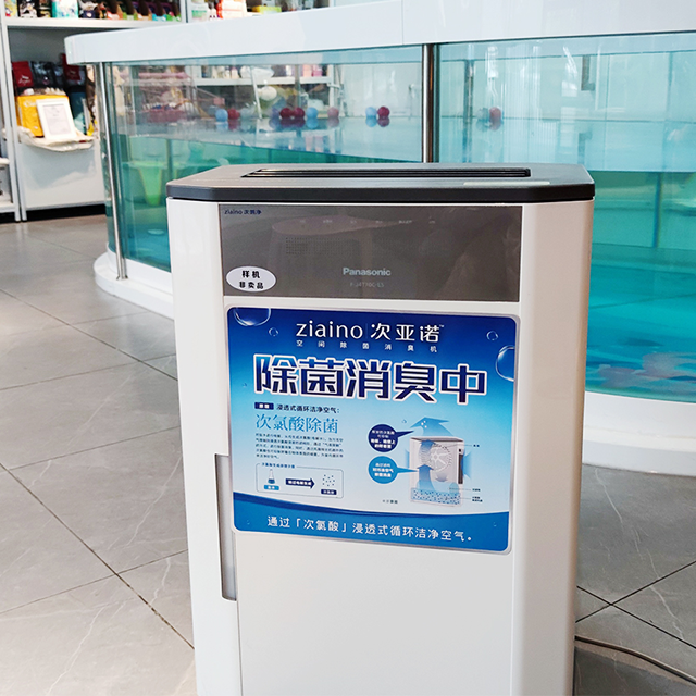 Sisters of G's Pet House See more