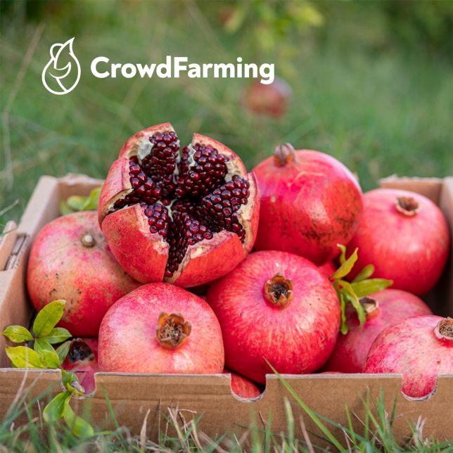 Bis zu 50€ Gutschein von CrowdFarming sichern!