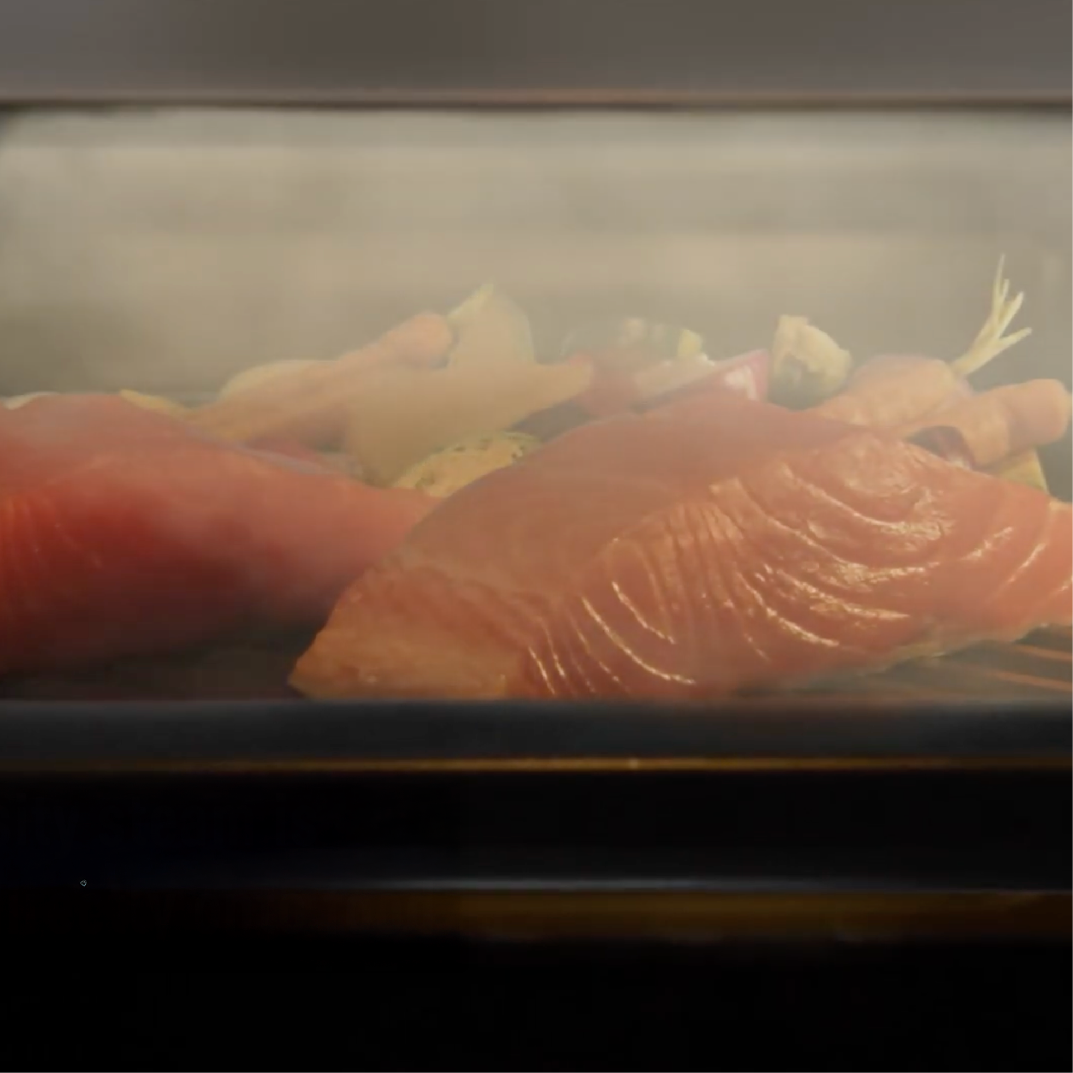 Healthy Steam Healthy Steam