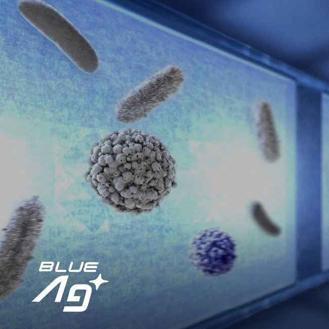 Eliminates Bacteria with Blue Ag Filter & LED Light