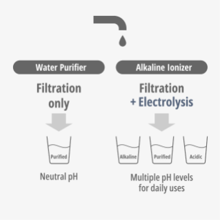 Purified Water vs Alkaline Ionized Water