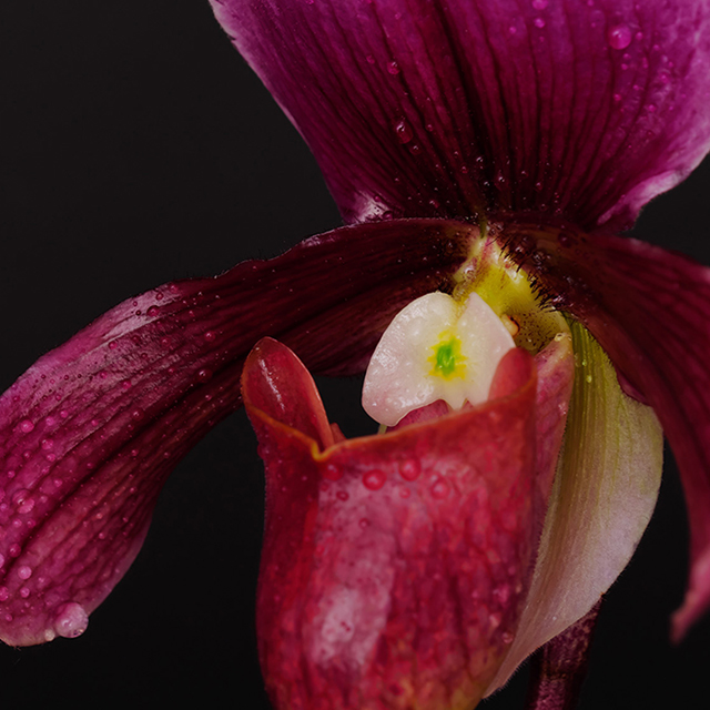 Obiettivi dal design avveniristico See more