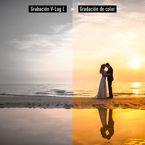 V-Log L preinstalado