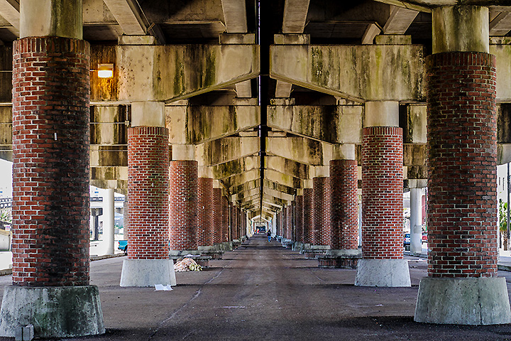 Lens: LEICA DG NOCTICRON 42.5mm / F1.2 ASPH. / POWER O.I.S. (H-NS043) | F4.5, 1/100 sec, ISO 320