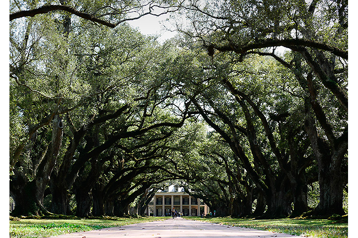 LUMIX G X VARIO 35-100mm / F2.8 / POWER O.I.S. (H-HS35100) | F5.0, 1/200 sec, ISO 200