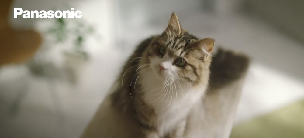 MC-SBU1F product movie