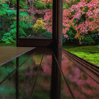 Photo of a traditional Japanese open-air room. The wooden engawa, a transitional space between the tatami-floored inner room and the outdoor garden, is polished to a high shine and reflects bright red autumn foliage.
