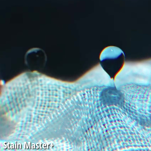 Stain Master+