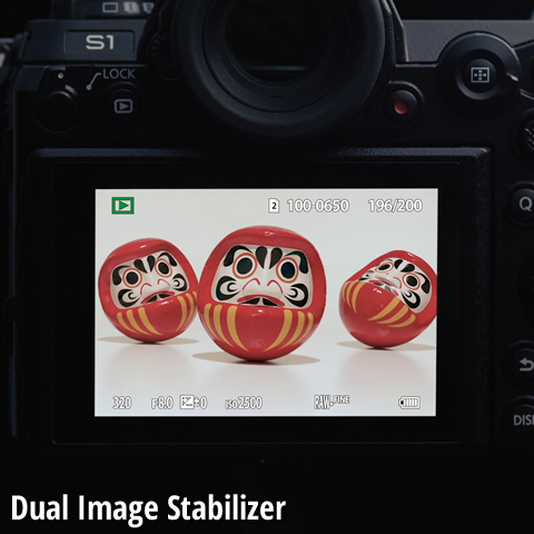 Dual Image Stabilizer