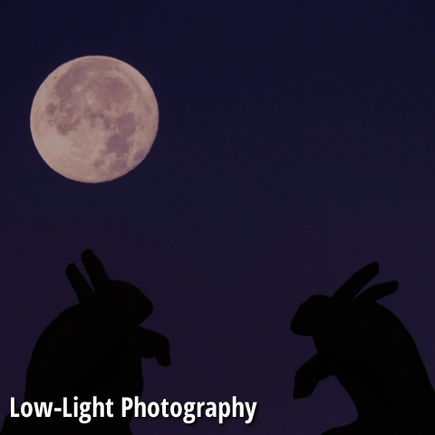 Low-Light Photography