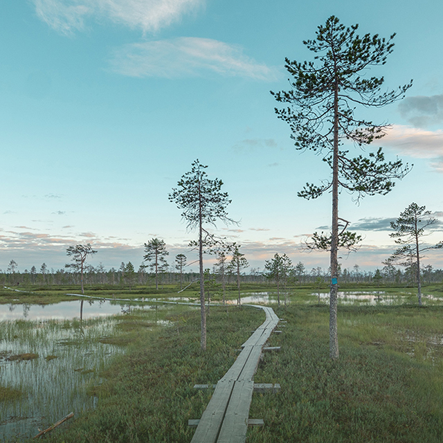 La fotocamera perfetta per tutte le mie avventure See more