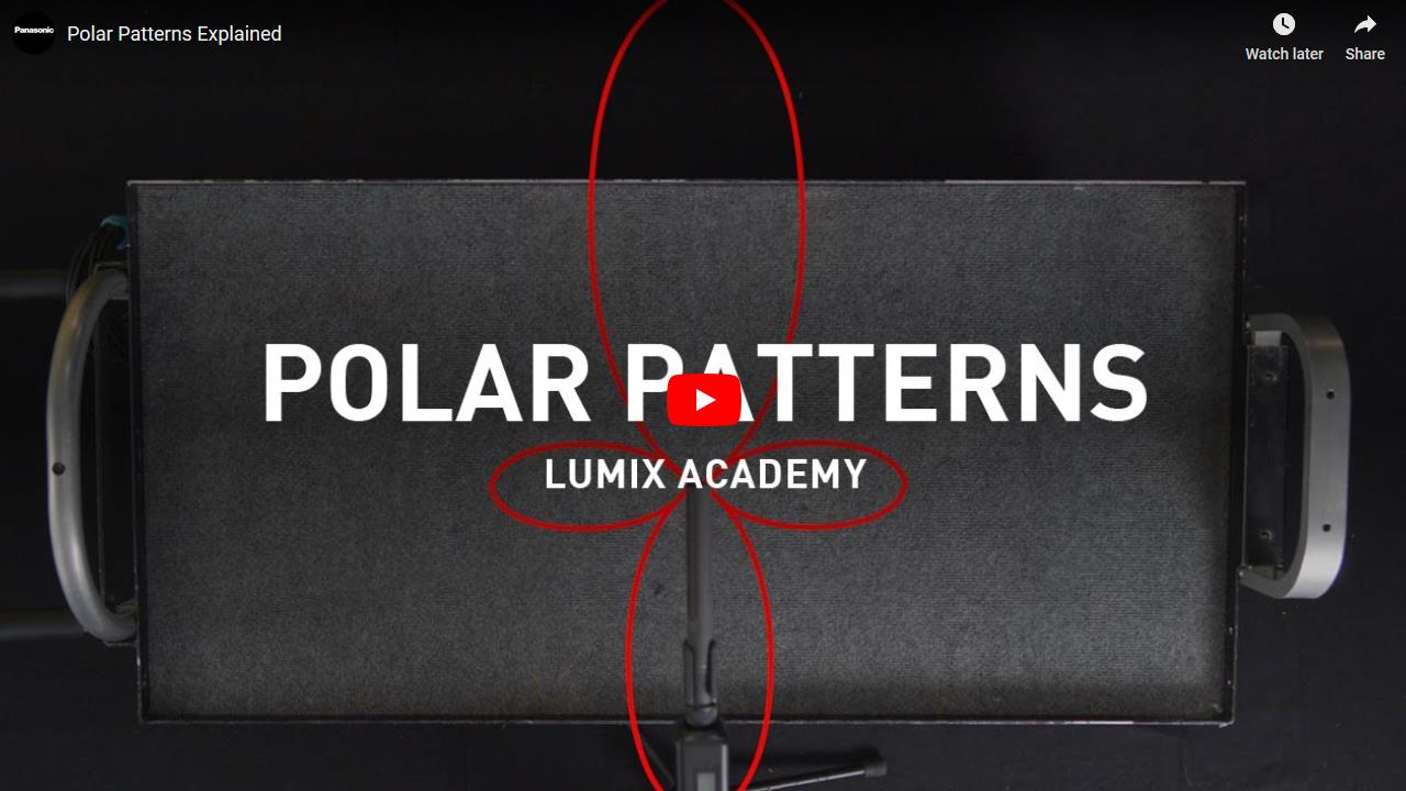 Explicación de los patrones polares