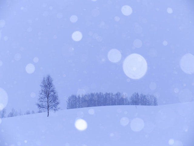 LUMIX GH4 SPECIAL GALLERY Masumi Takahashi -The Frigid Winter of Biei/Frano